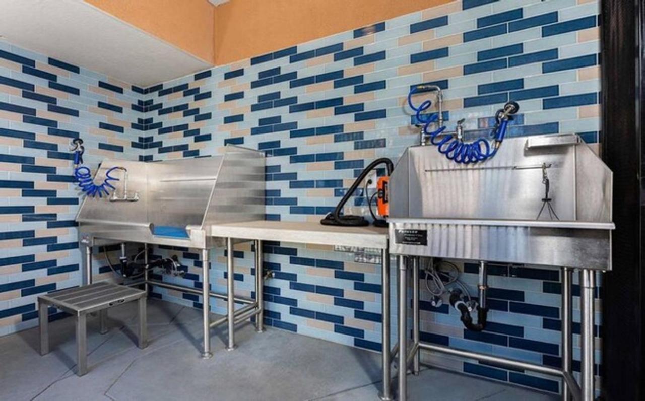 San Jose 1Br W Gym Pool Wd Nr Highways Vta Sfo-549 São José Exterior foto